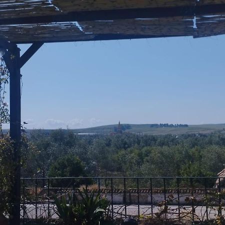 My Small Penthouse With Views.Tourism & Tranquility & Sun Córdoba Eksteriør bilde