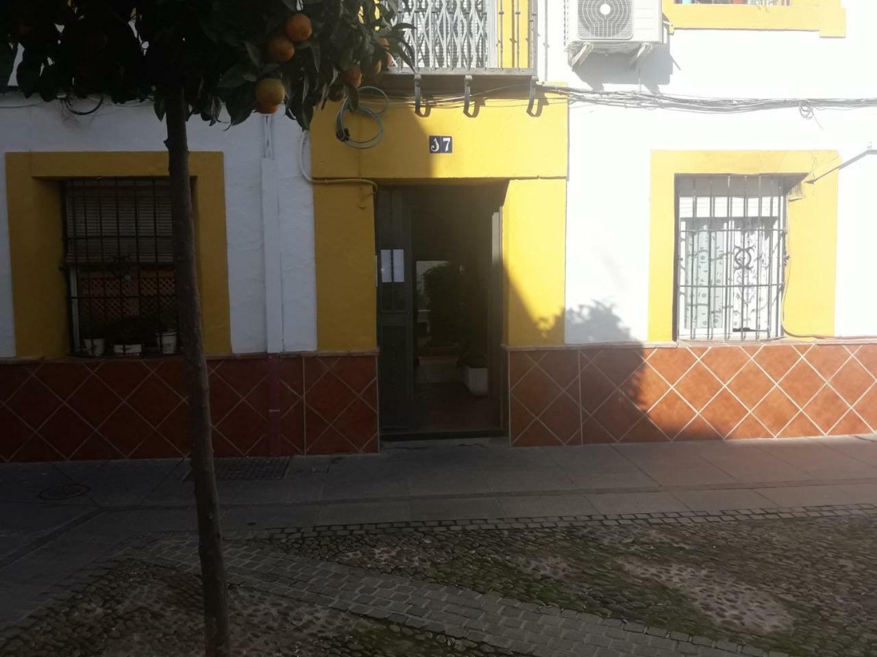 My Small Penthouse With Views.Tourism & Tranquility & Sun Córdoba Eksteriør bilde